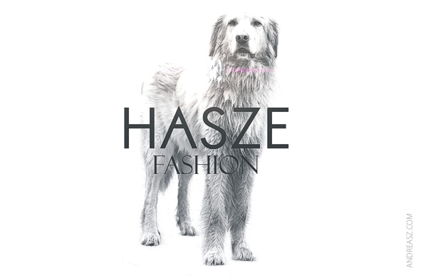 Logo Design Hasze Fashion